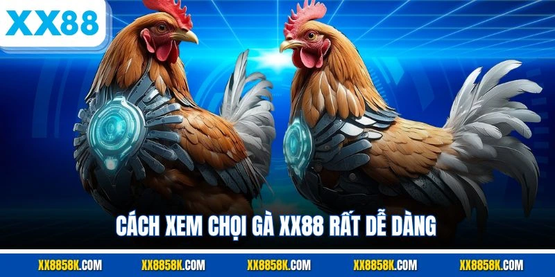 Cách xem chọi gà XX88 rất dễ dàng 