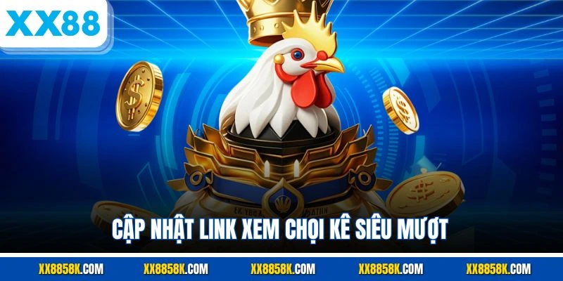 Cập nhật link xem chọi kê siêu mượt