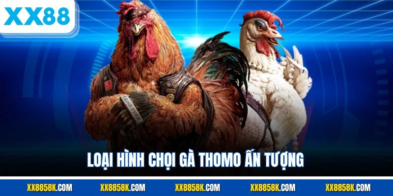 Loại hình chọi gà Thomo ấn tượng 