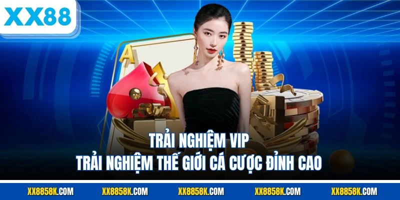 Trải nghiệm VIP